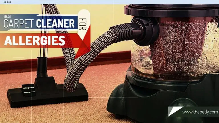 6 Best Portable Carpet Cleaners: For Pets (Beat Allergies)