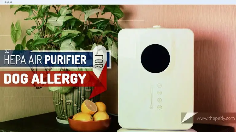 Air Purifiers To Filter Dust & Pet Hair (Buying Guide)