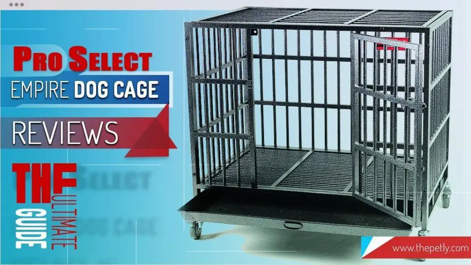 a strong dog cage