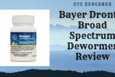 bayer drontal dewormer bottle