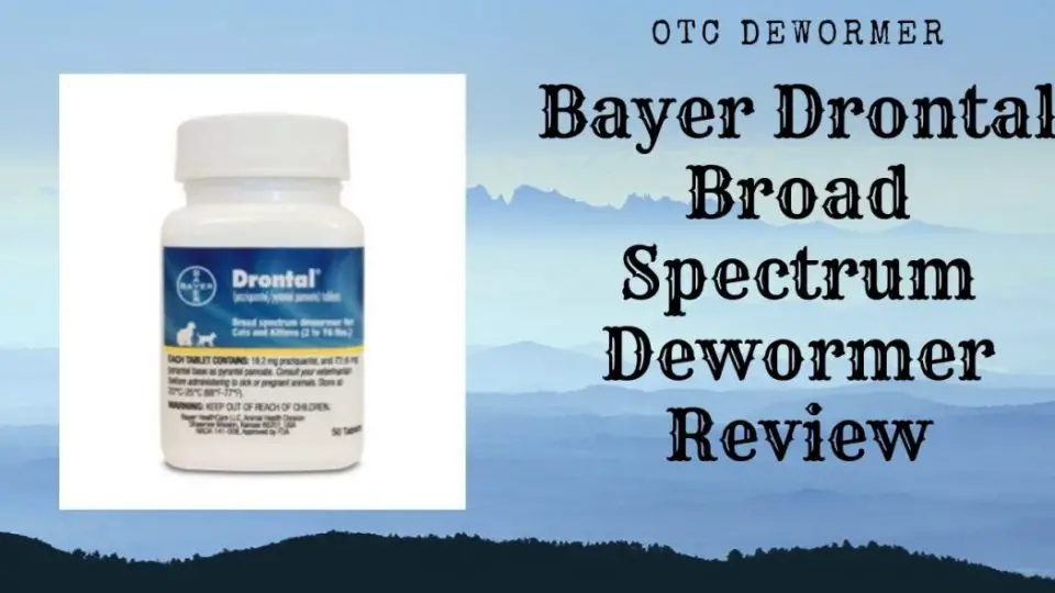 bayer drontal dewormer bottle