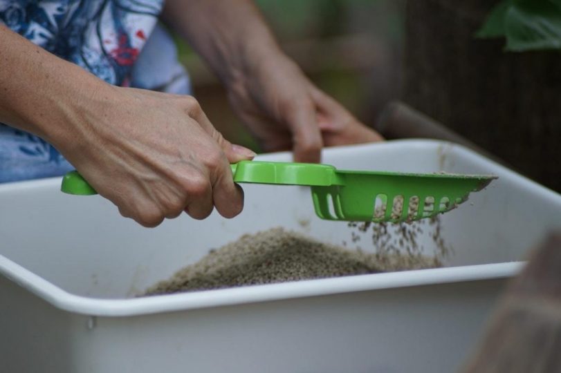 Cleaning cat litter tray