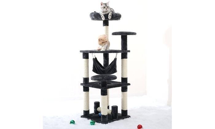 cats on scratching post