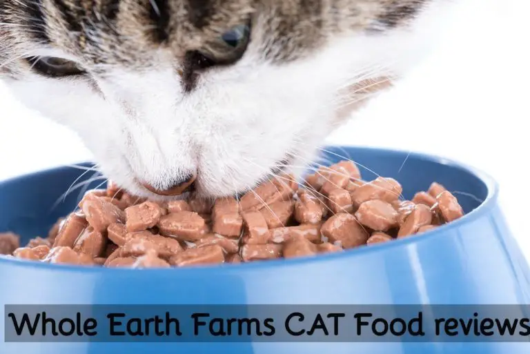 Best Whole Earth Farms Cat Food (5 Favorites Reviewed)