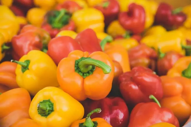 Can Dogs Eat Bell Peppers