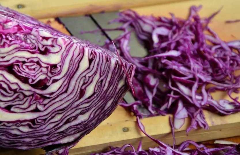 chopped red cabbage