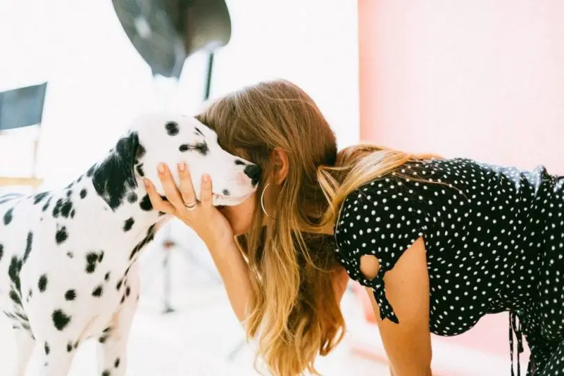 woman hugging dalmation